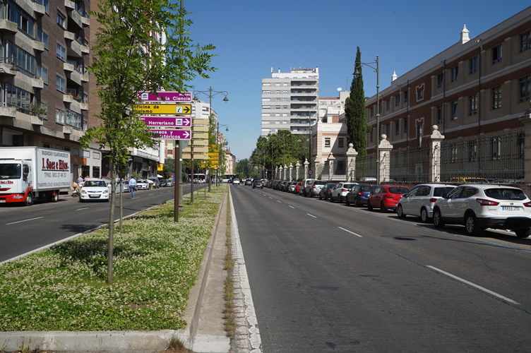 Garcia Morato. Valladolid. Zona de intervención barreras acústicas. UGU