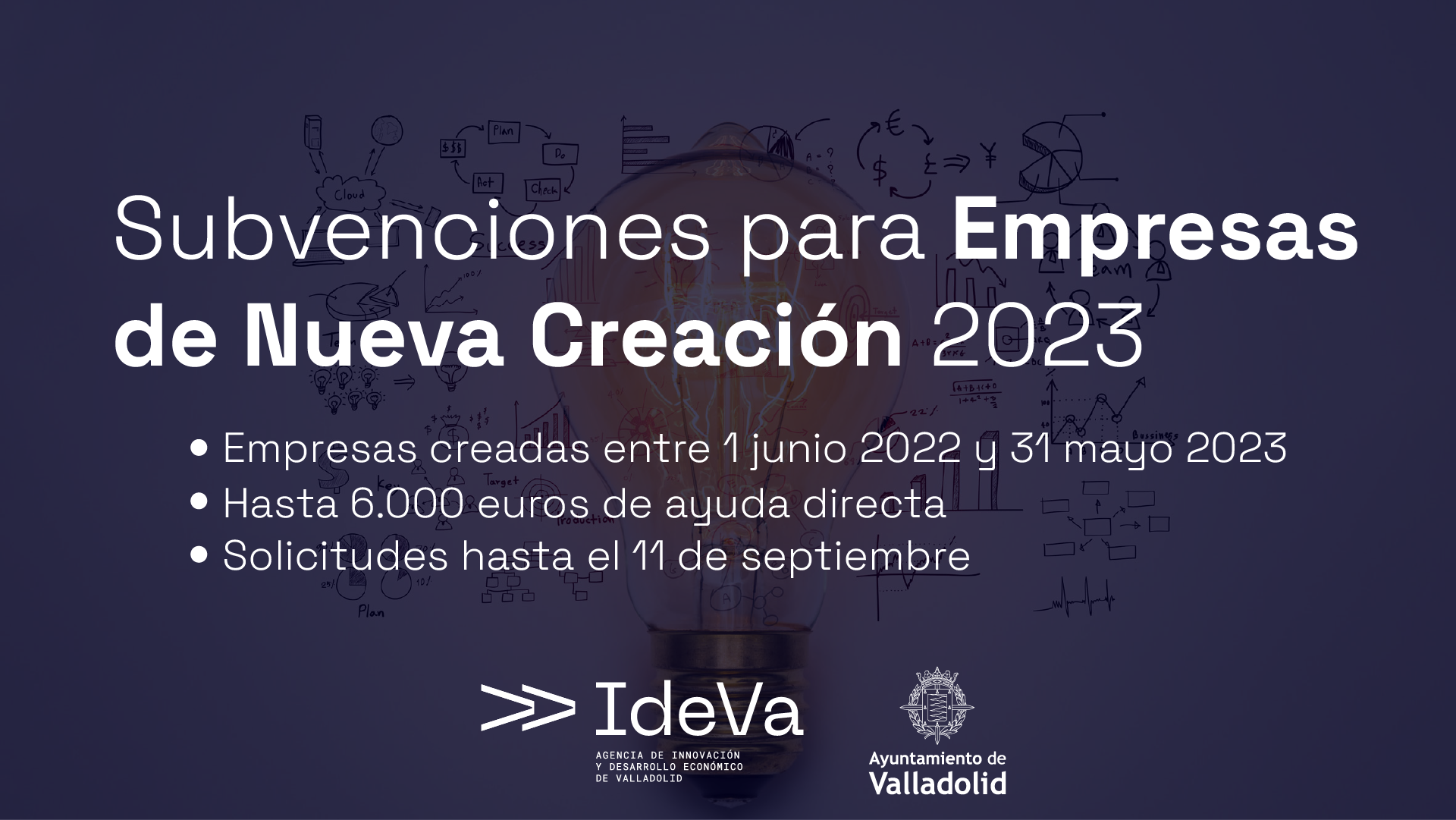 Ayudas a Empresas de Nueva Creación 2023