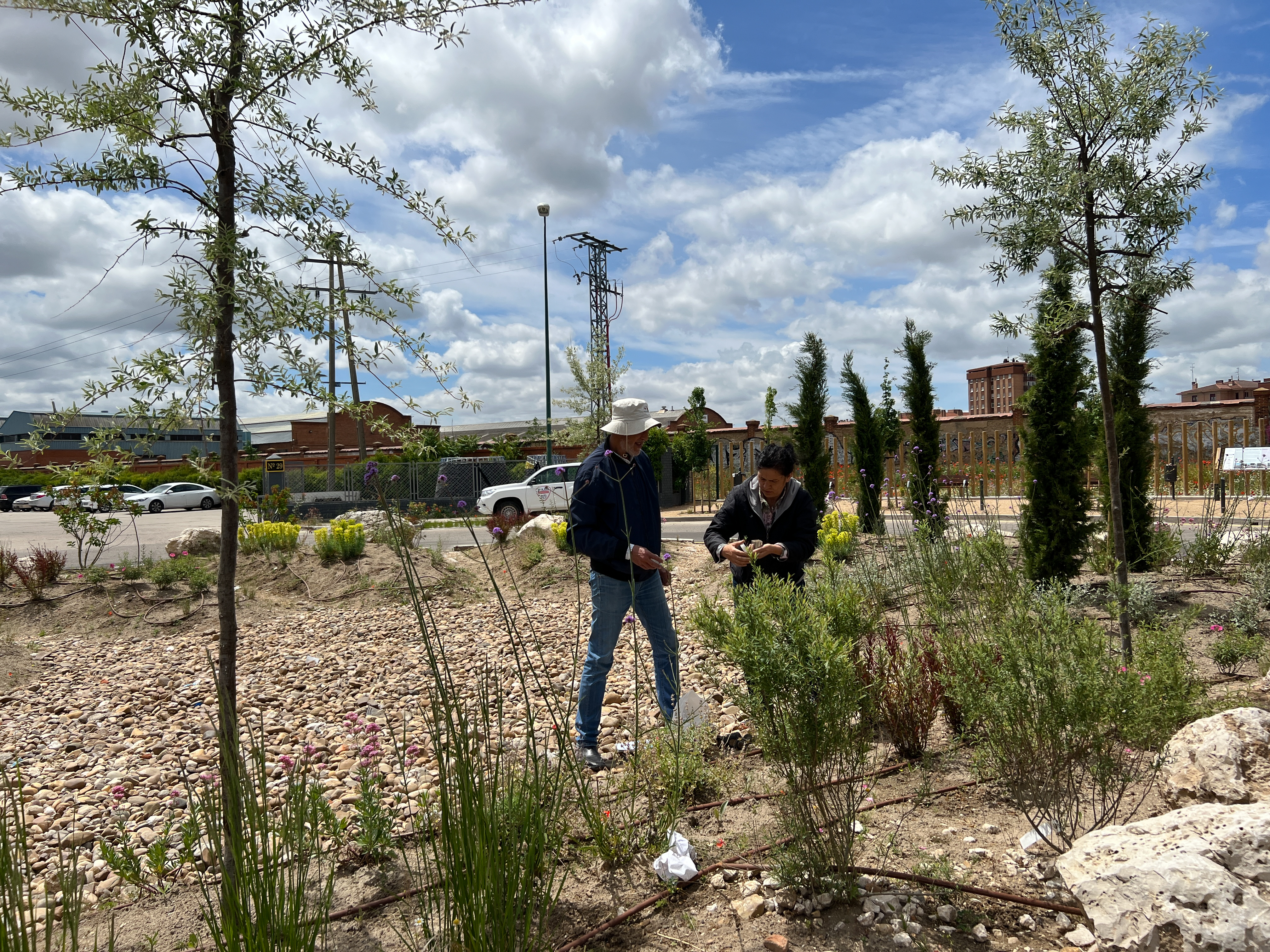 Portuguese researchers collect samples from the Indnatur project